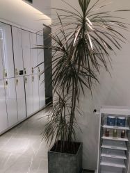 -東田造型