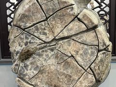 -游龙石文化科普馆