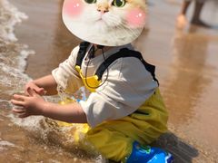 -日照海滨国家森林公园