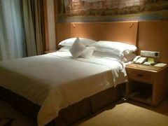 -维也纳国际酒店·深圳北站店