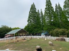 -白马涧龙池景区