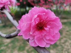-洨河生态公园