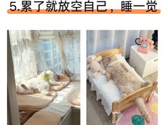 -达爱动物医院·犬猫分区·CT·复杂眼科(远洋山水分院)