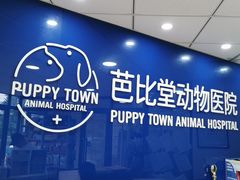 -芭比堂宠物医院·全科爱猫医院·仁德分院