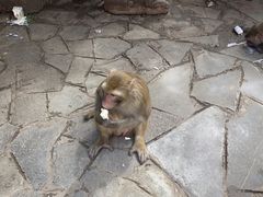 -黔灵山公园-南门售票处