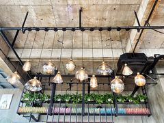 -了不起的考拉咖啡店(高新店)