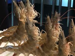 -王家渡火锅店(棕榈泉店)