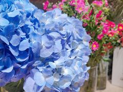 -星巴克臻选(南京艾尚天地店)