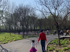 -东郊湿地公园