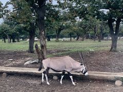 -西安秦岭野生动物园