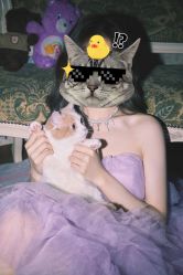 -WAVE SODA摄影工作室