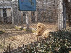 -合肥野生动物园