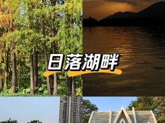 -顺峰山公园