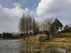 -尚贤河湿地
