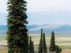 -新疆那拉提国家旅游度假区