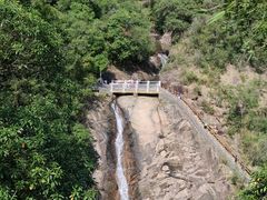 -广州白江湖森林公园