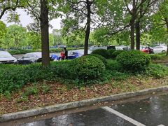 -上海滨江森林公园·停车场