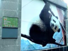 -中国大熊猫保护研究中心雅安碧峰峡基地