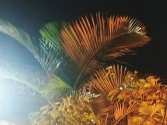 -阿细汉菜(本地盐帮菜名店)