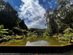 -深圳仙湖植物园