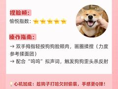 -FAELING PETS美天灵宠物(合生汇店)