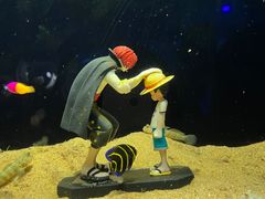 -欢乐海岸海洋奇梦馆