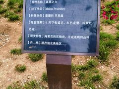 -元大都城垣遗址公园