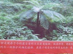 -百魔洞景区