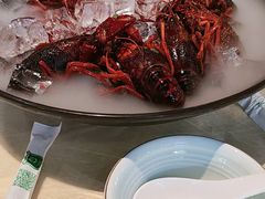 -怪怪龙虾·澳洲蓝龙王·深夜食堂(惊驾路店)