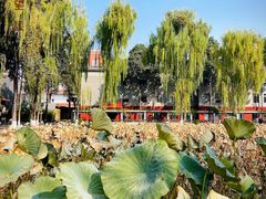 -四川大学(望江校区)