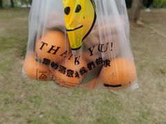 -白石龙音乐公园