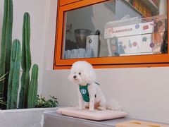 -稀物集咖啡(徽州大道店)