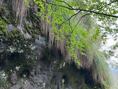 -武夷山风景名胜区-虎啸岩