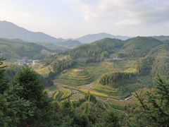 -紫鹊界梯田景区