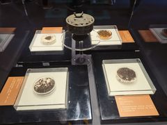 -北京大葆台遗址博物馆