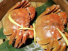 清蒸六月黄-蟹榭·本帮江浙菜·蟹宴(五角场合生汇商场店)