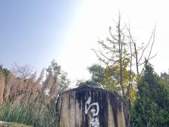 -白鹭湾湿地公园