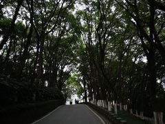 -上海市保健医疗中心