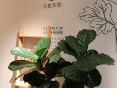 -左悦·艾灸调理·推拿按摩·精油SPA(卓悦汇店)