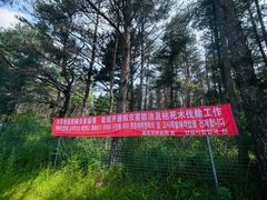 -帽儿山国家森林公园