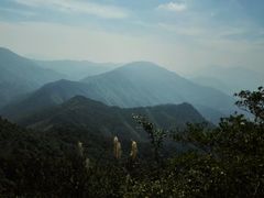 -江西阳明山国家森林公园