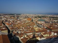 -圣母百花大教堂穹顶