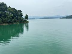 -广州市流溪河国家森林公园