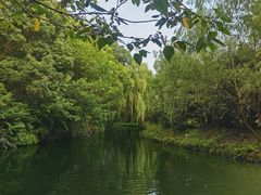-同里国家湿地公园