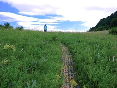 -白草畔自然风景区