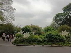 -海珠湖公园