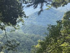 -青城山