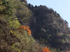 -北京上方山国家森林公园