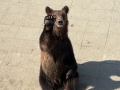 -大连森林动物园