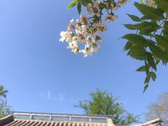 -北京石刻艺术博物馆(五塔寺)